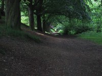 Highlight for Album: England '01