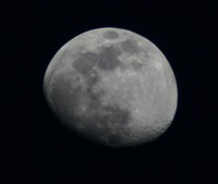 Highlight for Album: Random Images